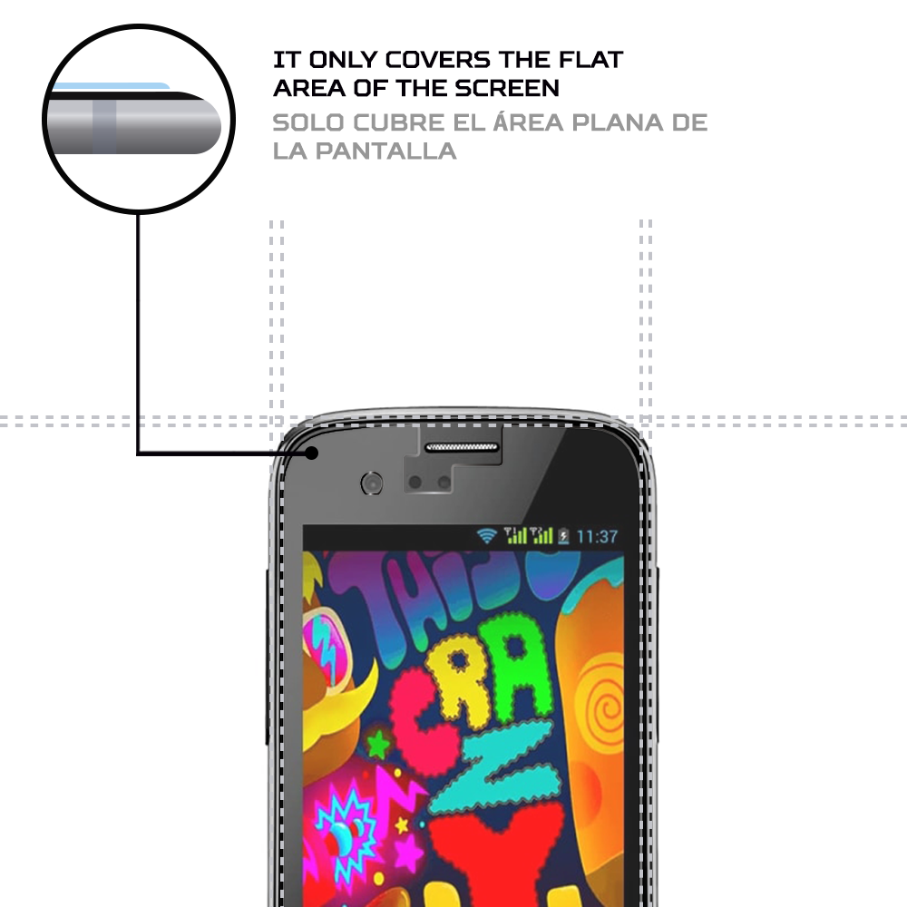 NGM-Dynamic-Fun-4.png